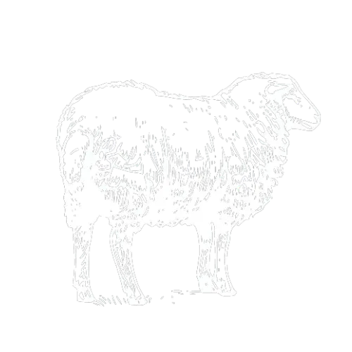 Design sans titre 2025 12 04T133916.254