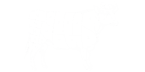 Sans titre 500 x 250